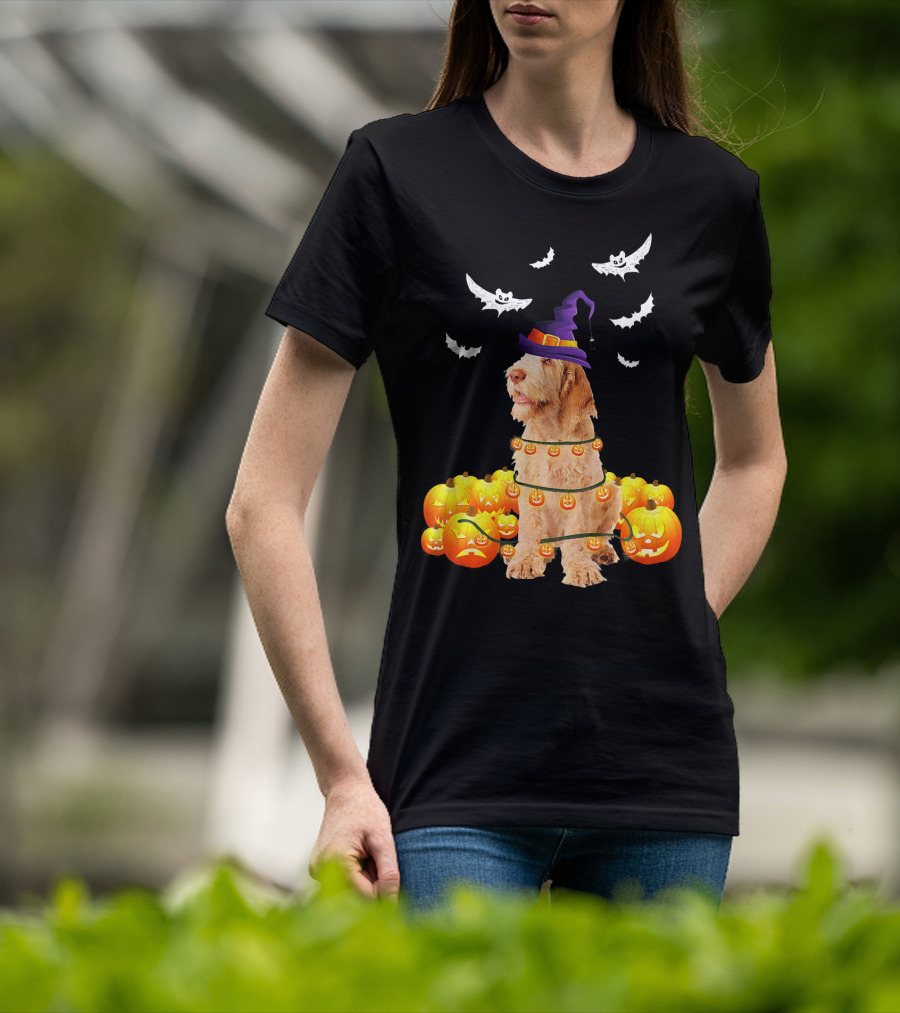 Spinone Italiano Dog Halloween Pumpkin Lights And Bats T-Shirt