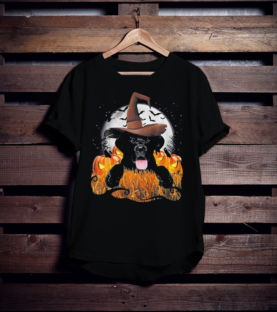 Labrador Halloween Cute Dog Witch With Pumpkin And Moon T-Shirt