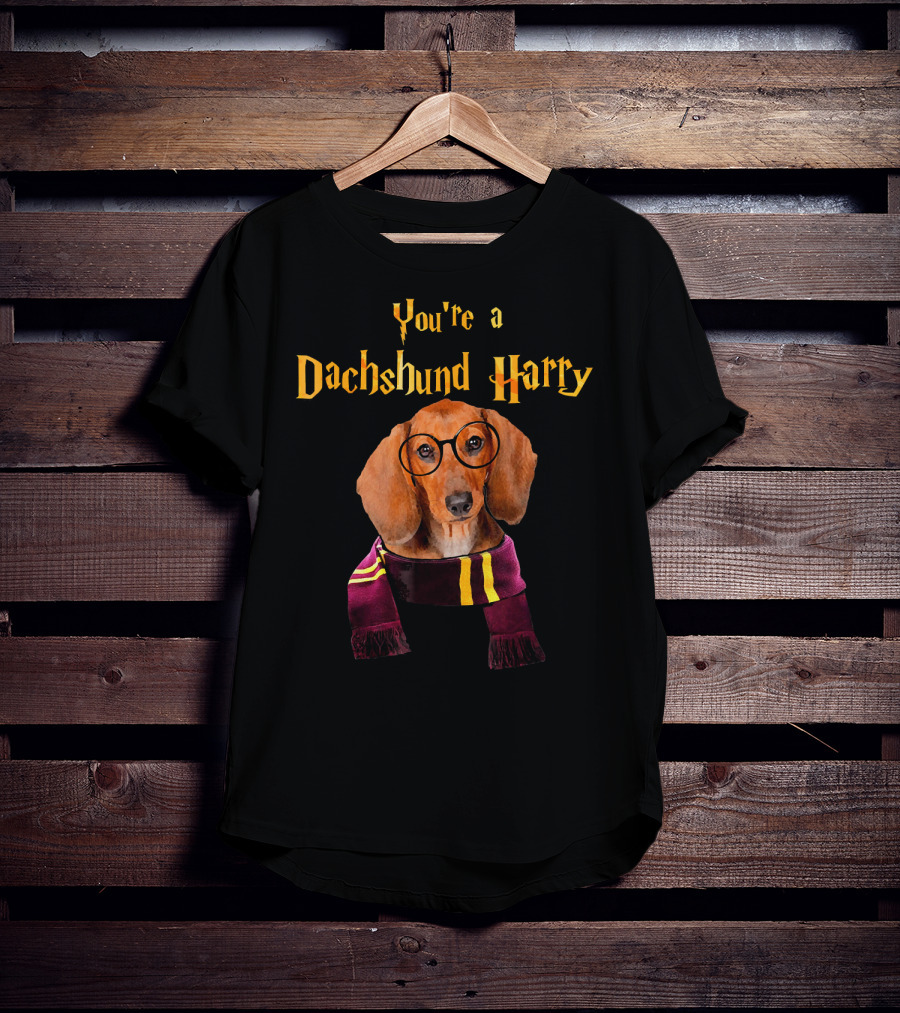 You're A Dachshund Harry T-Shirt
