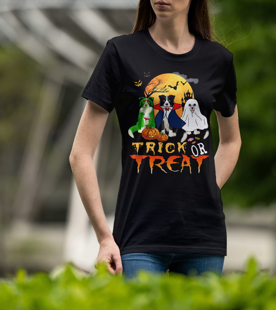 Trick Or Treat Halloween Border Collie Costumes Pumpkins Haunted Moon T-Shirt