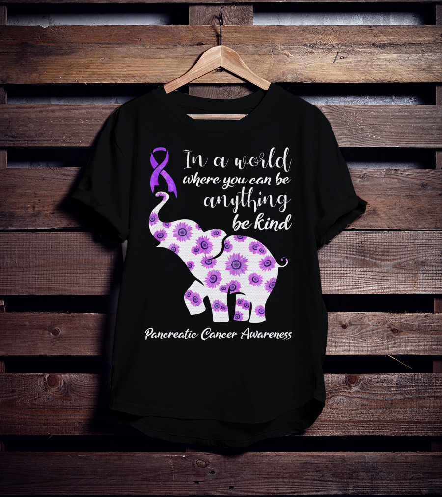 In A World Where You Can Be Anything Be Kind Pancreatic Cancer Awareness T-Shirt