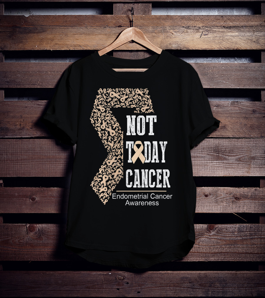 Not Today Cancer Endometrial Cancer Awareness T-Shirt