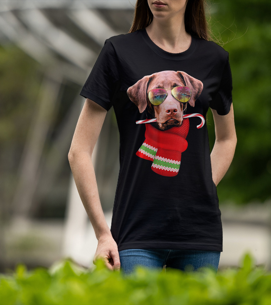 Christmas In July Labrador Sunglasses Candy Cane Scarf T-Shirt