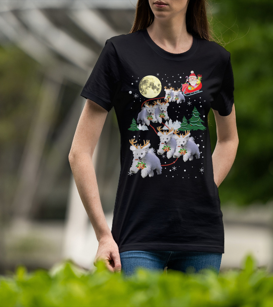 Funny Maltese Christmas Santa Claus Sleigh Reindeer Dogs Pajama T-Shirt