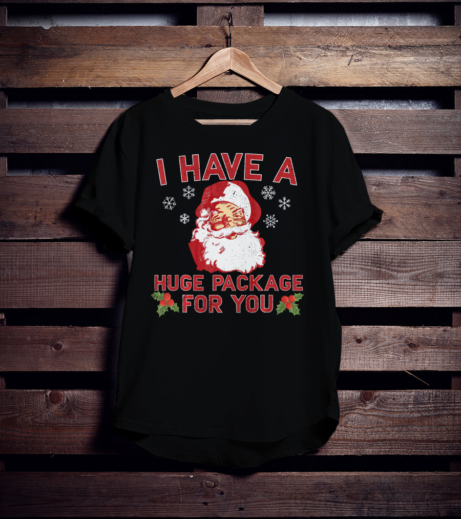 I Have A Huge Package For You Santa Christmas Snowflakes T-Shirt