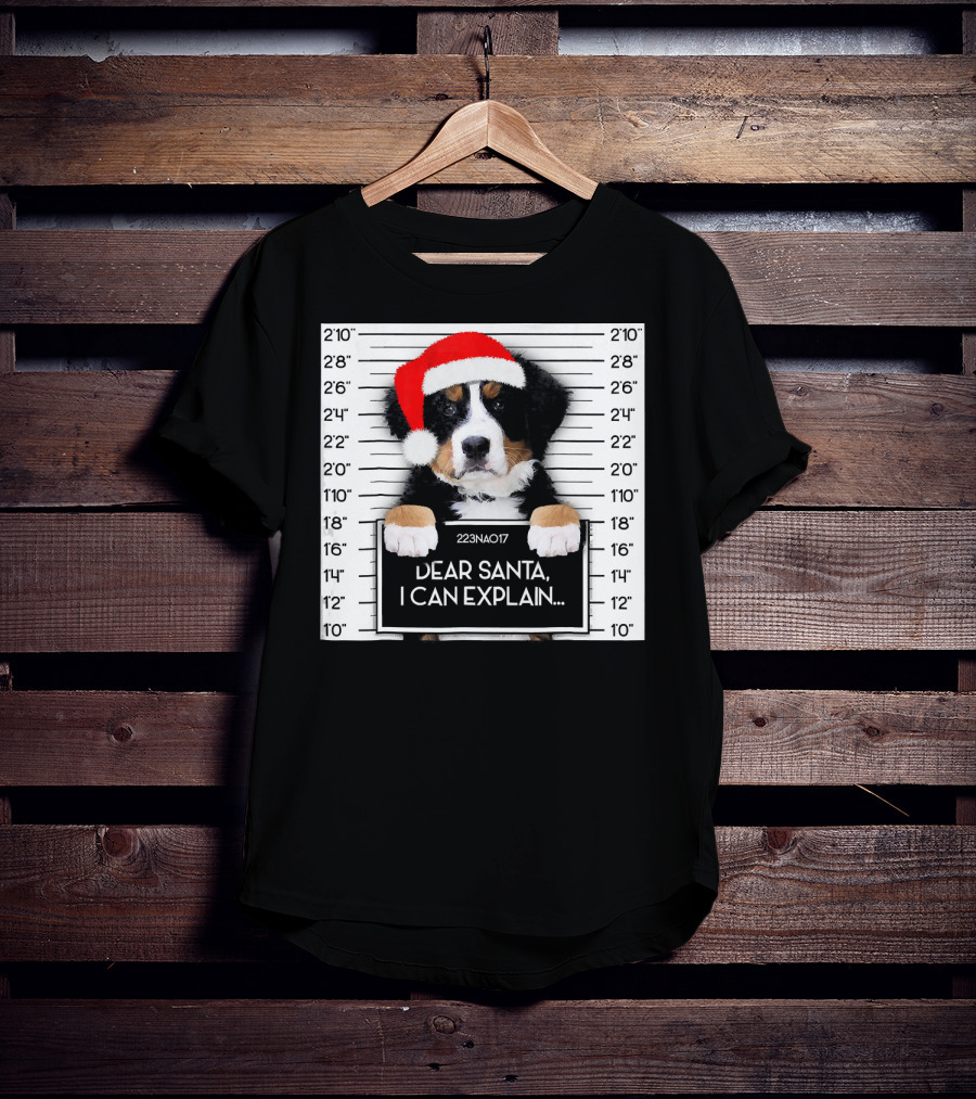 Xmas Bernese Mountain Dog Lover Santa Hat Dear Santa I Can Explain T-Shirt
