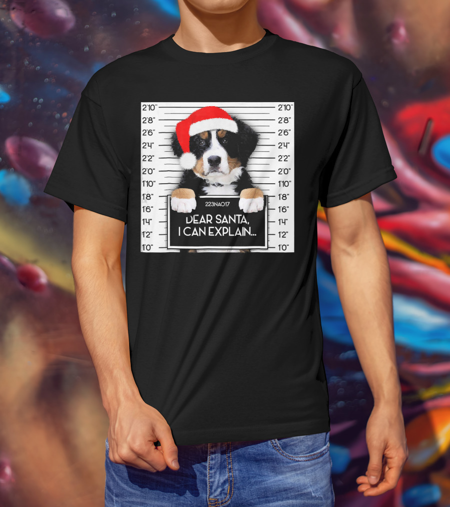Xmas Bernese Mountain Dog Lover Santa Hat Dear Santa I Can Explain T-Shirt