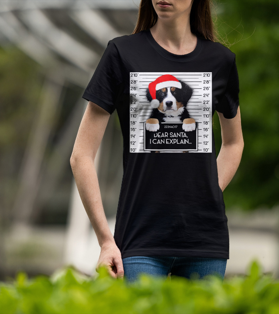 Xmas Bernese Mountain Dog Lover Santa Hat Dear Santa I Can Explain T-Shirt