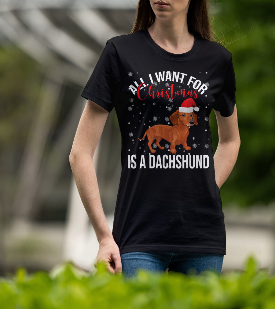 All I Want For Christmas Is A Dachshund Santa Hat Snowflakes T-Shirt