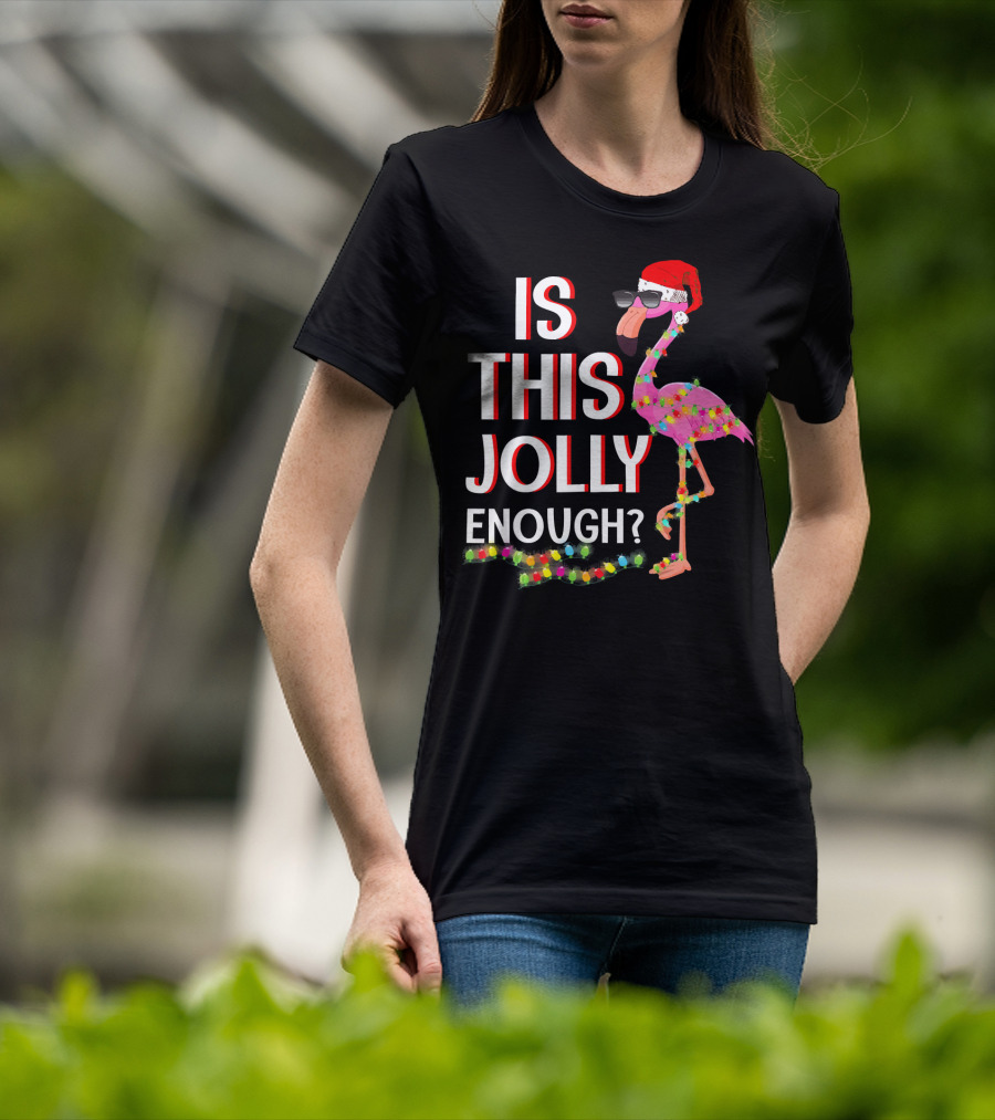 Is This Jolly Enough Flamingo Christmas Lights Santa Hat Sunglasses T-Shirt