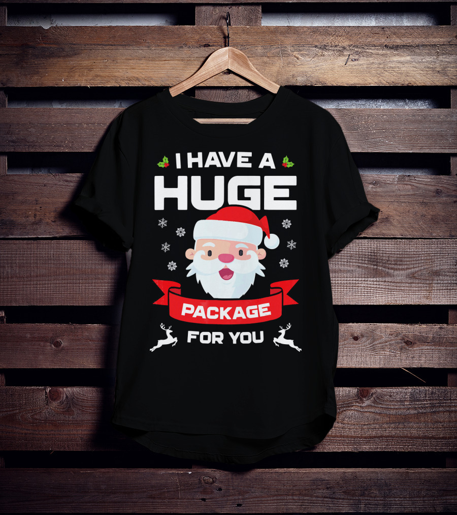 I Have A Huge Package For You Santa Snowflakes Reindeer Christmas T-Shirt