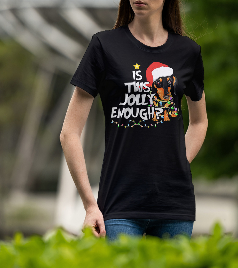 Is This Jolly Enough Christmas Dachshund With Santa Hat And Lights T-Shirt