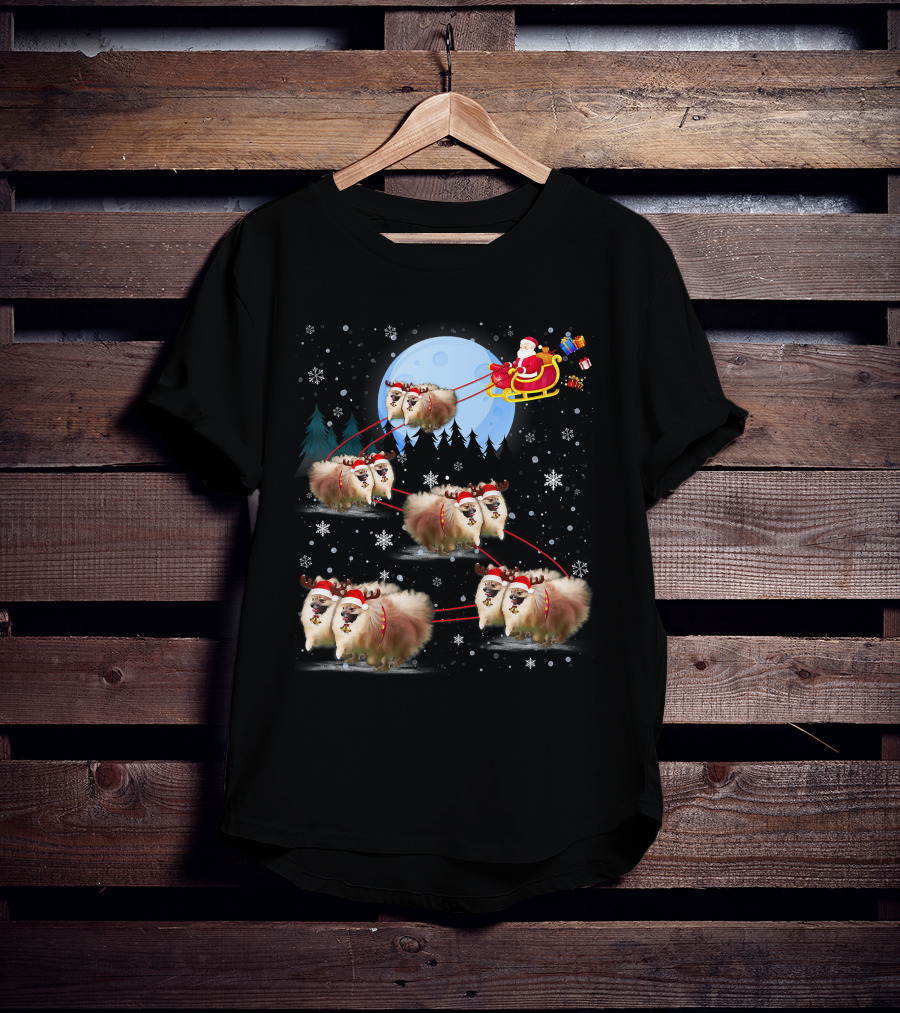 Pomeranian Reindeer Santa Sleigh Christmas Under Moonlight T-Shirt