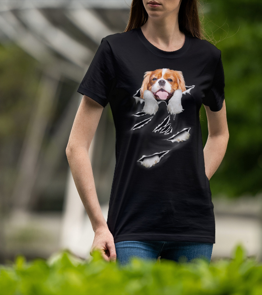 Cavalier King Charles Spaniel Scratch Torn Paws And Face Peeking Through T-Shirt