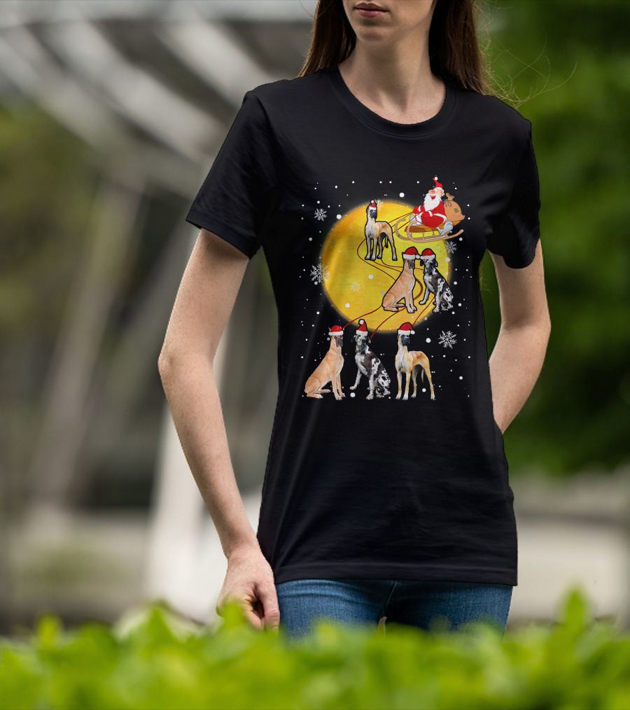 Santa Claus Sleigh Great Dane Reindeer Pack Moon Snowflakes T-Shirt