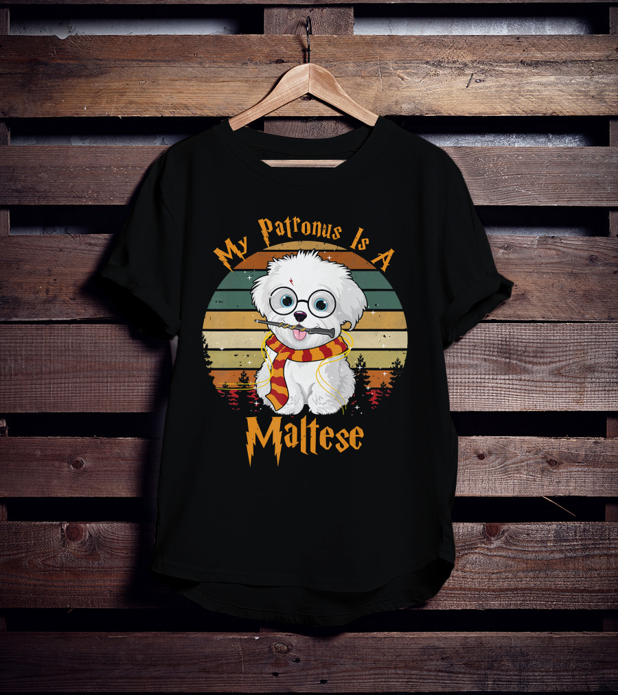 My Patronus Is A Maltese Dog With Wizard Glasses And Scarf In Colorful Circle T-Shirt