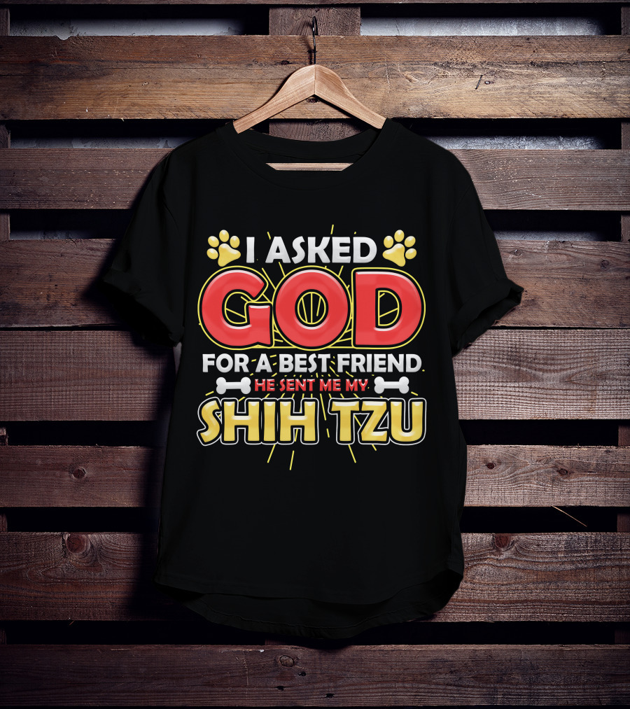 I Asked God For A Best Friend He Sent Me My Shih Tzu T-Shirt
